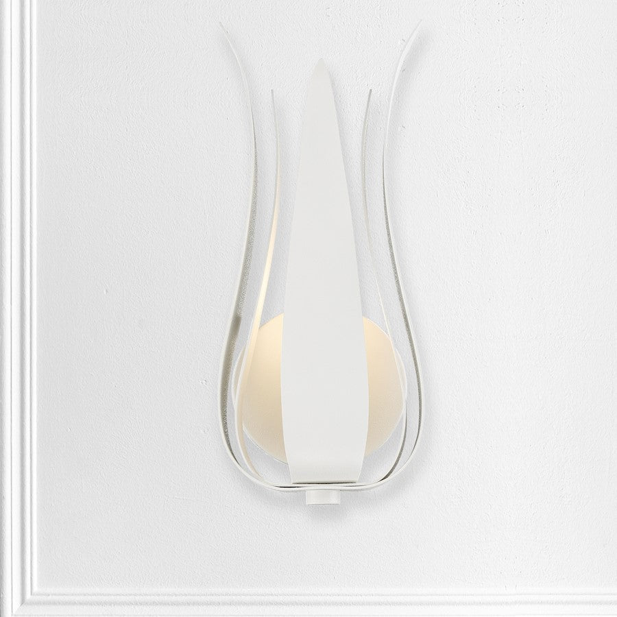 1 Light Wall Sconce