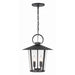 Crystorama Andover 4 Light Outdoor Chandelier, Matte Black - AND-9204-CL-MK