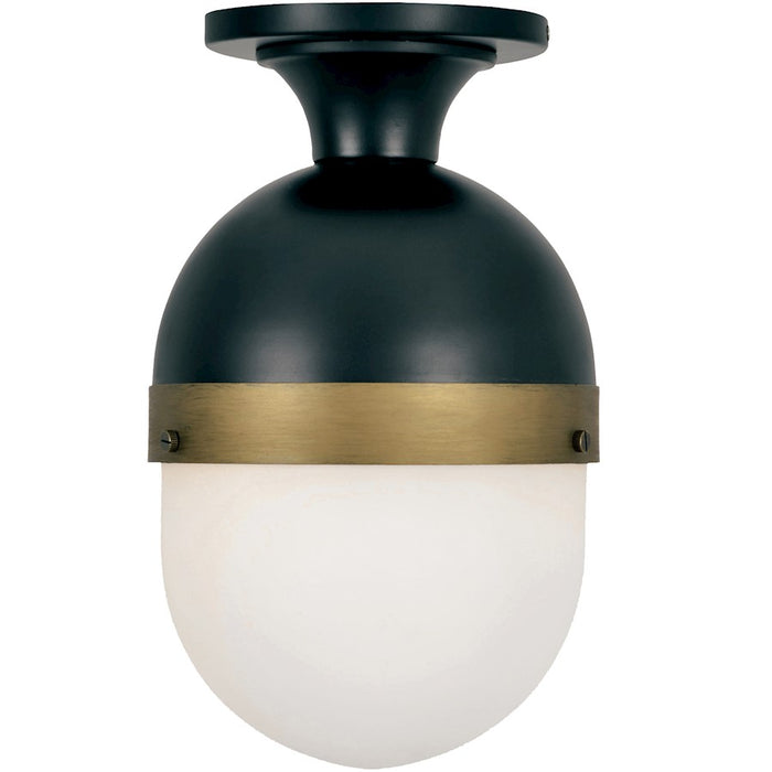 Crystorama Capsule 1 Light Outdoor Ceiling Mount, Matte Black/Textured Gold