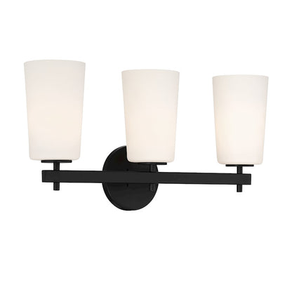 3 Light Bathroom Vanity Light