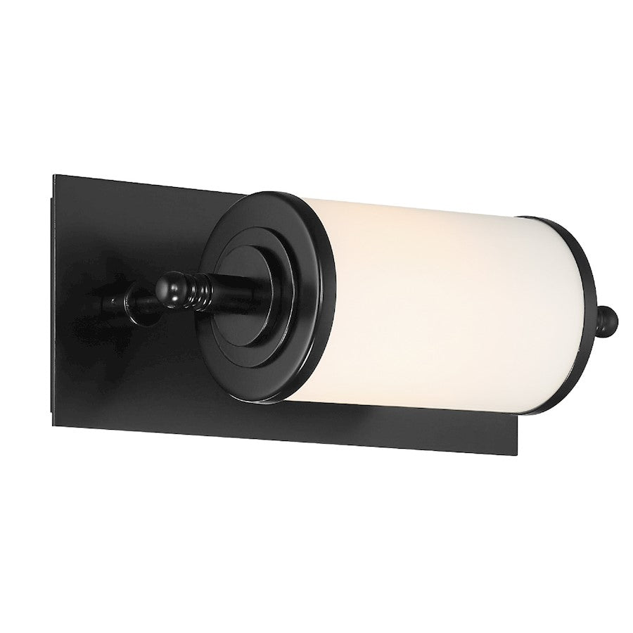 1 Light Wall Sconce