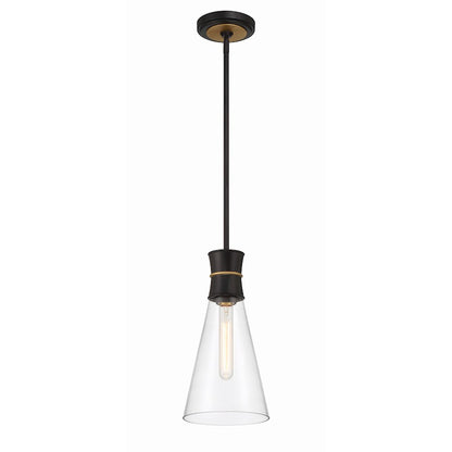 1 Light Mini Pendant, Black