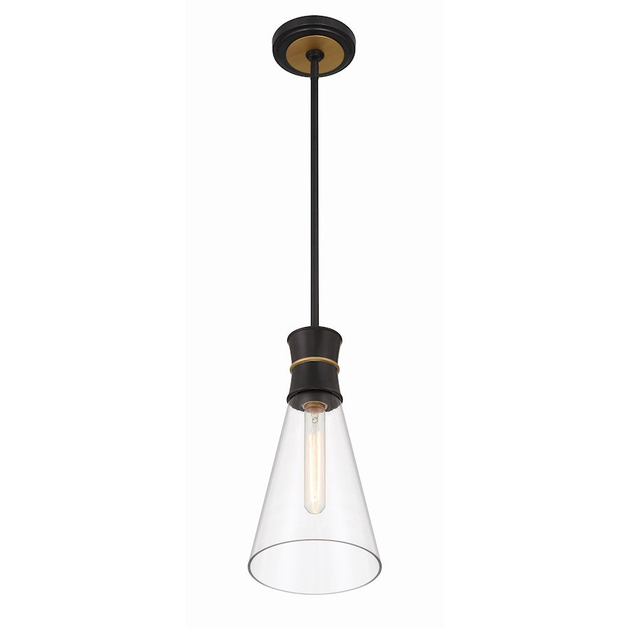 1 Light Mini Pendant, Black