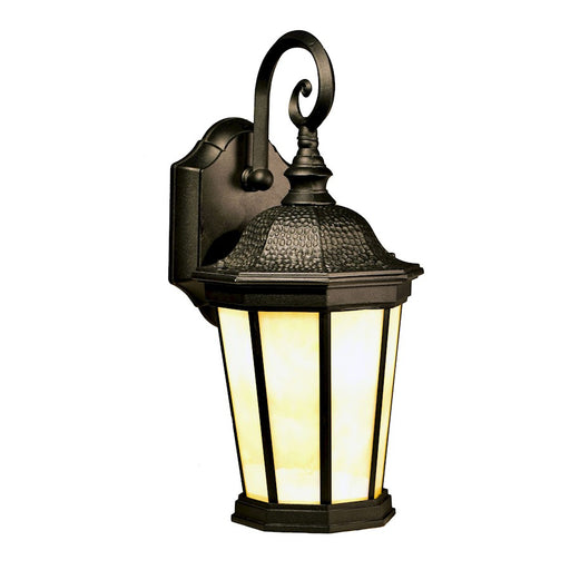 Dale Tiffany North Point Tiffany Outdoor Wall Sconce, Golden Black - STW15149LED
