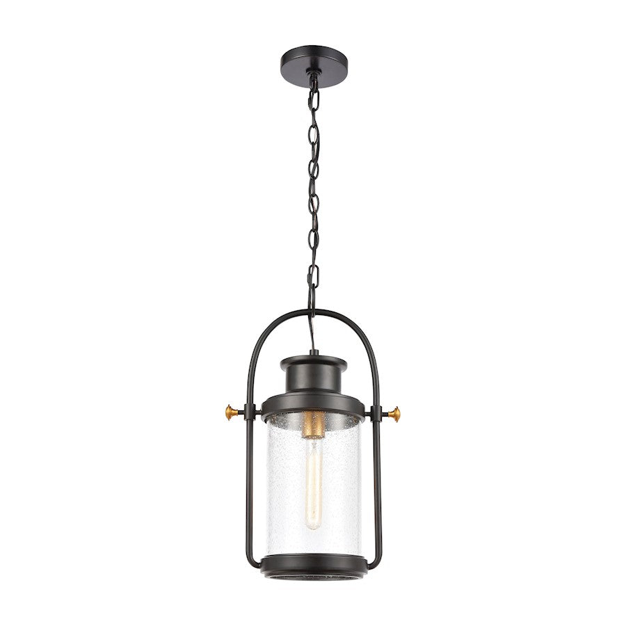 ELK Lighting Wexford 1-Light Hanging, Matte Black/Seedy Glass - 46672-1