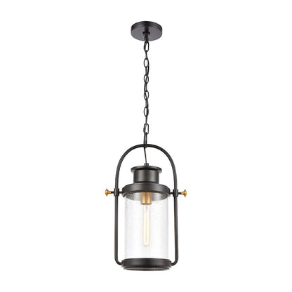 ELK Lighting Wexford 1-Light Hanging, Matte Black/Seedy Glass - 46672-1