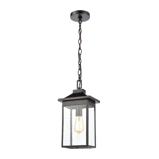 ELK Lighting Lamplighter 1-Light Hanging, Matte Black/Seedy Glass - 46703-1