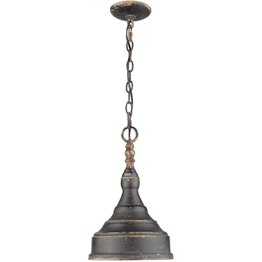 1 Light Mini Pendant, Antique Black Iron