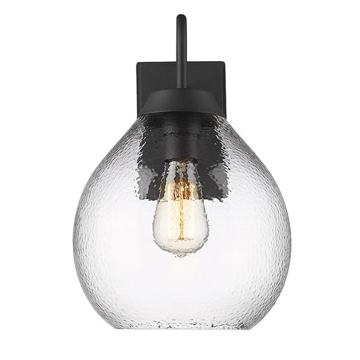 Golden Lighting Ariella 1-Light Outdoor Wall Light, Black/Clear - 1094-OWMNB-HCG