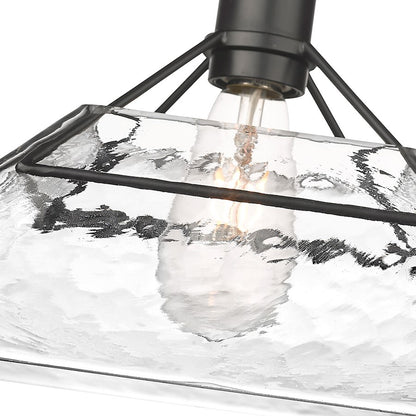 1 Light Medium Pendant, Black/Water