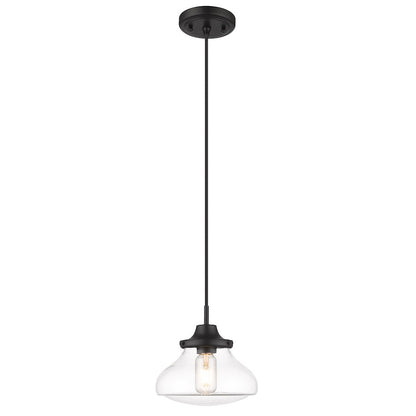 1 Light Small Pendant, Matte Black