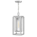 Hinkley Lighting Republic Outdoor 1-LT Hanging Lantern, Nickel/Clear - 1002SI-LL