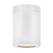 Hinkley Lighting Silo Outdoor 1-LT Flush Mount, Satin White/Etched - 13592SW-LL