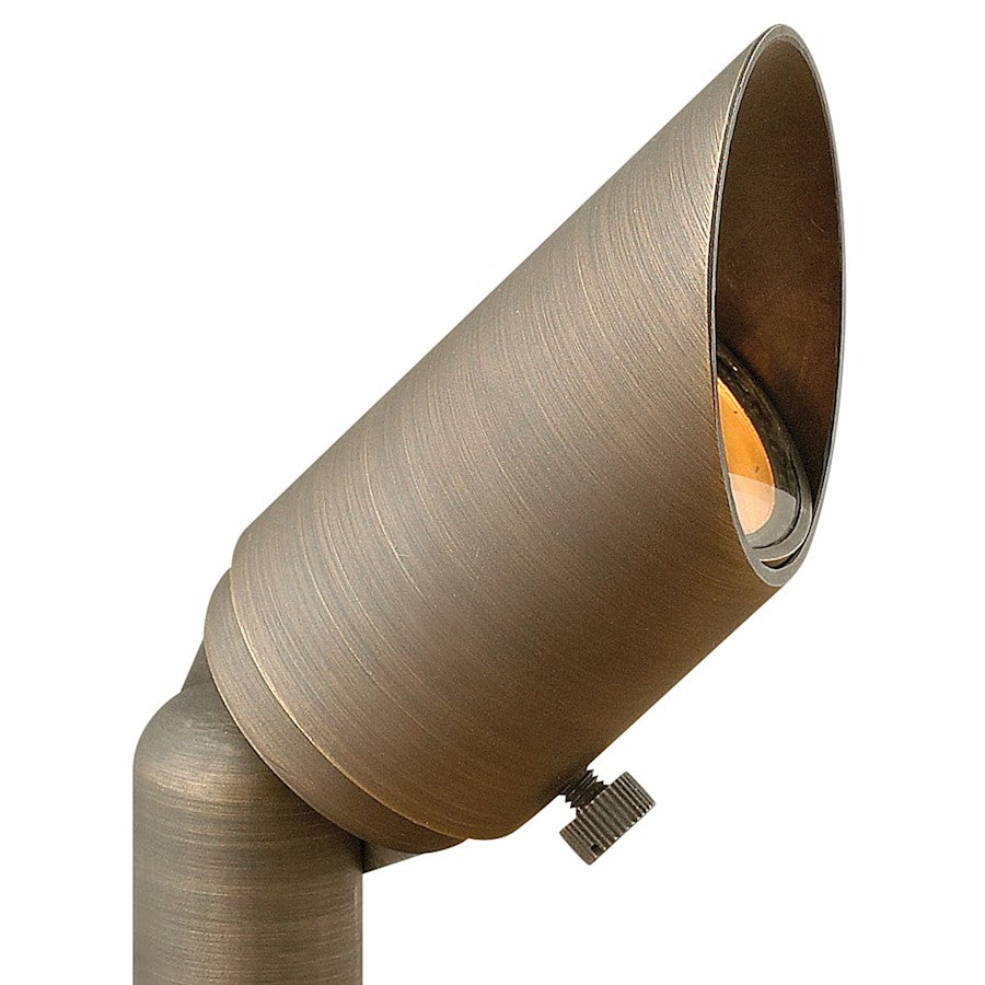 Hinkley Lighting Hardy 1 Light Landscape Spot Light, Matte Bronze