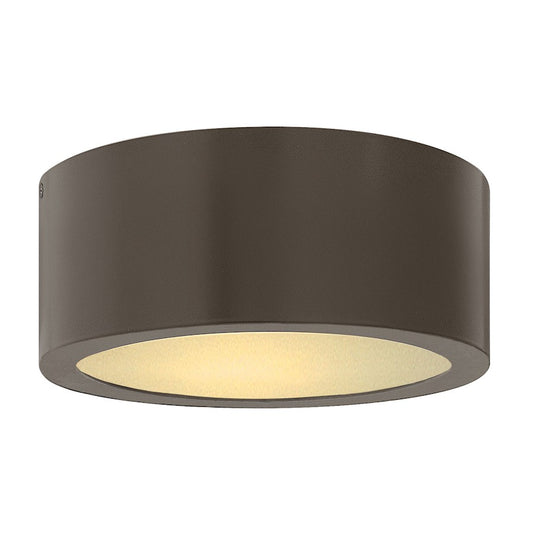 Hinkley Lighting 1 Light Luna Outdoor Flush Mount