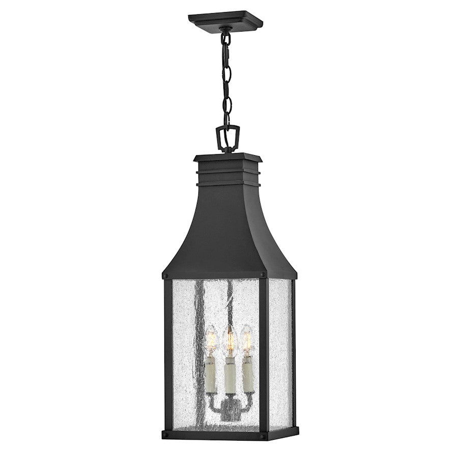 Hinkley Lighting Beacon Hill 3Lt Outdoor MED Hanging Lantern, BK/Seed - 17462MB