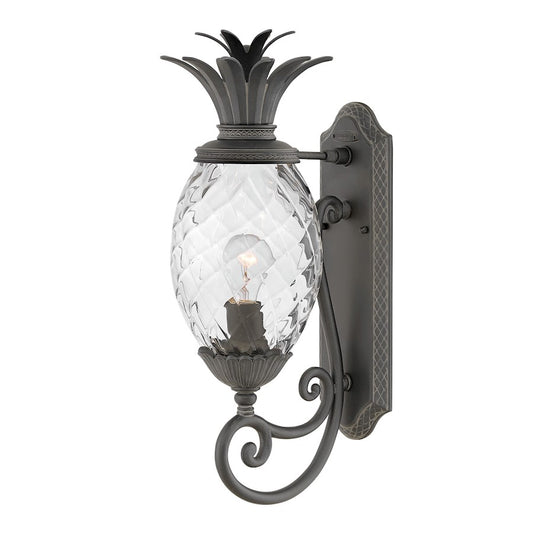 Hinkley Lighting Plantation Outdoor Wall Mount, Museum Black