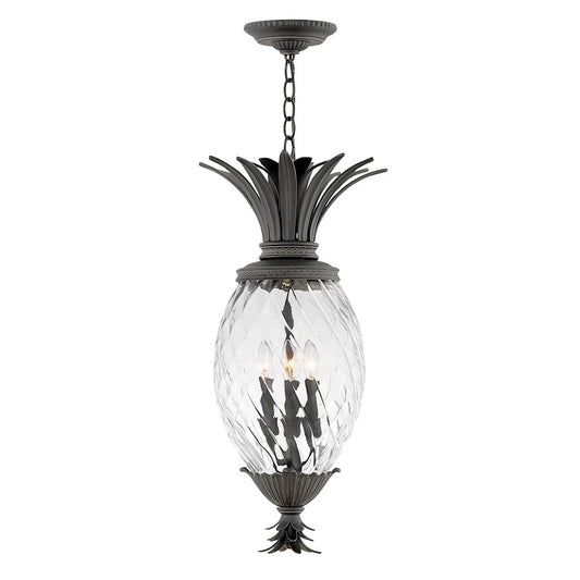 Hinkley Lighting 4 Light Plantation Outdoor Hanging, Museum Black