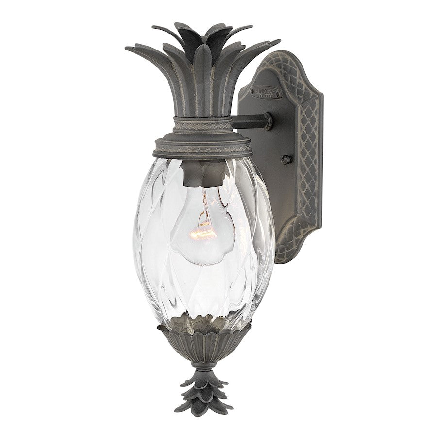 1 Light Outdoor Wall Sconce