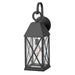 Hinkley Lighting Briar 1 Light Outdoor LG Sconce, Black/Clear Seedy - 23305MB