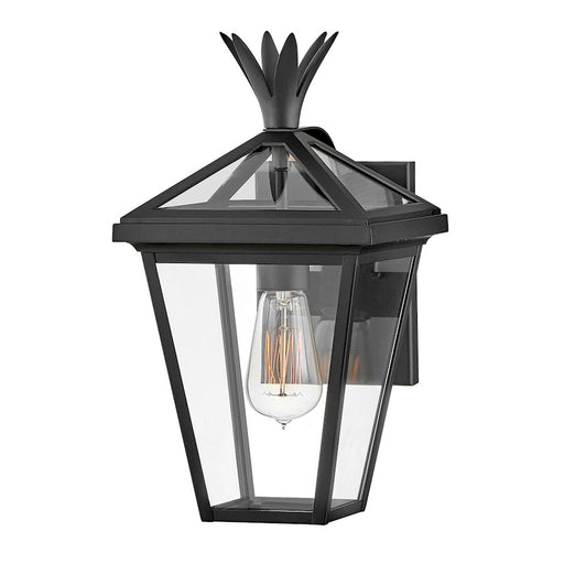 Hinkley Lighting Palma 1 Light Outdoor Small Wall Sconce, Black/Clear - 26090BK