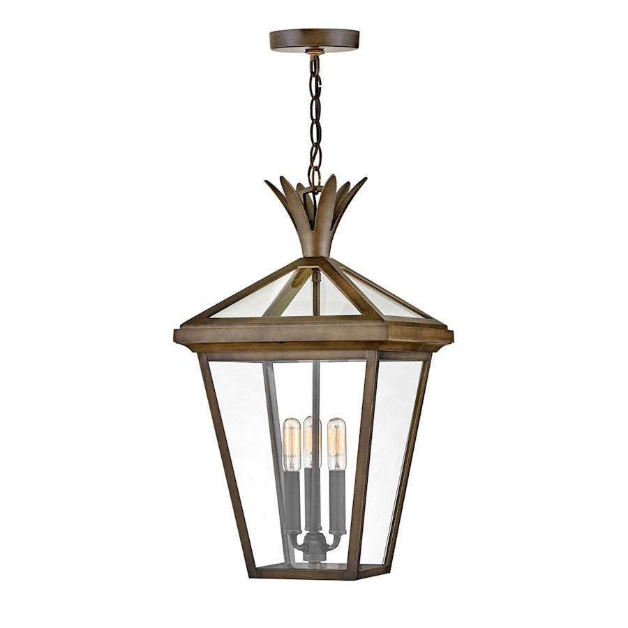 Hinkley Lighting Palma 3 Light Outdoor LG Hanging Lantern, Bronze - 26092BU