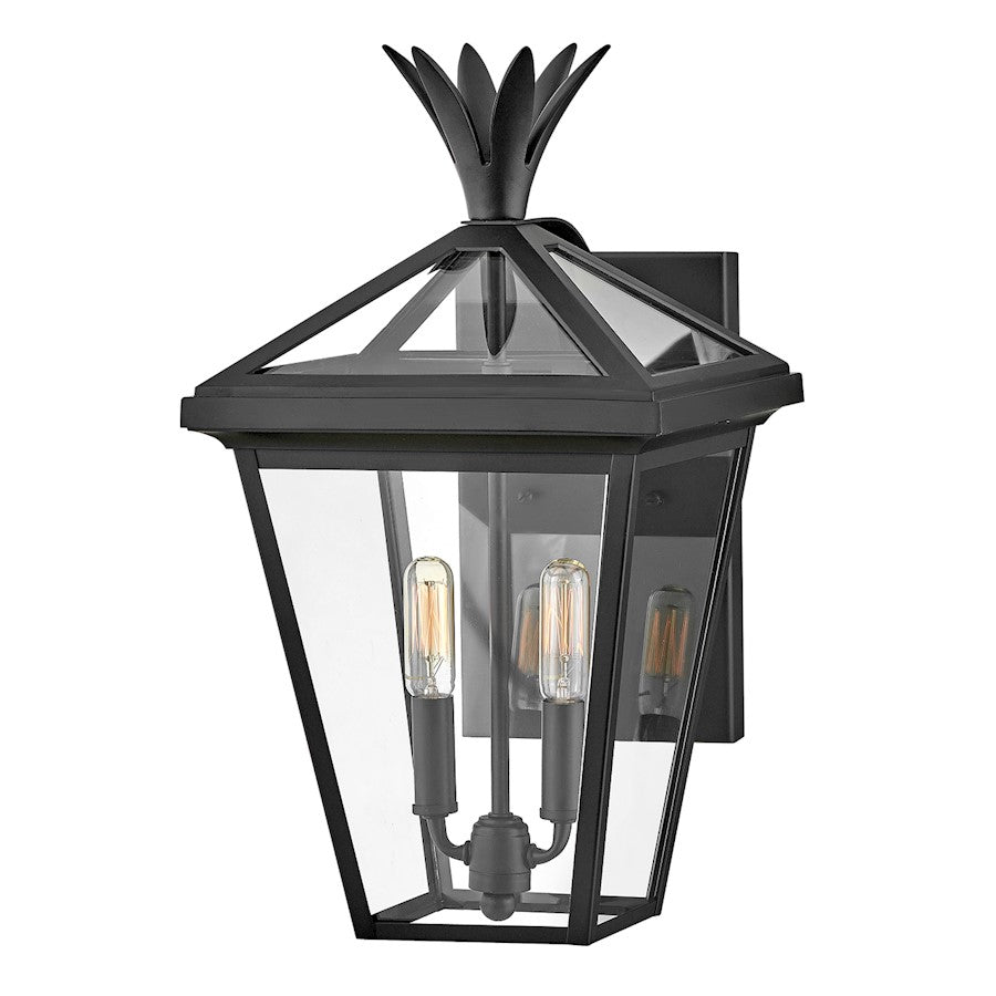 Hinkley Lighting Palma 2 Light Outdoor Medium Wall Sconce, Black/Clear - 26094BK