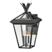 Hinkley Lighting Palma 3 Light Outdoor Large Wall Sconce, Black/Clear - 26095BK