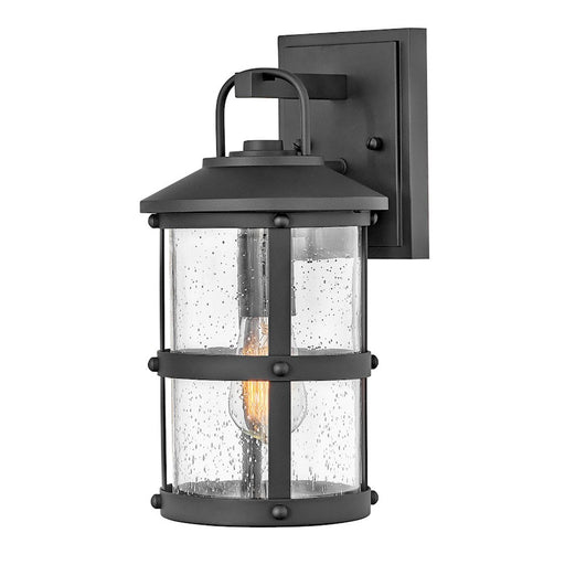 Hinkley Lighting Lakehouse Outdoor 1 Light Small Wall, Black/Clear - 2680BK-LL