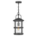 Hinkley Lighting Lakehouse 1 -LT Outdoor Med Hanging Lantern, Black - 2682BK-LV