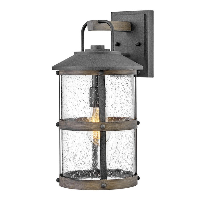 Hinkley Lighting Lakehouse Outdoor 1 Light Large Wall, Zinc/Clear - 2684DZ-LL