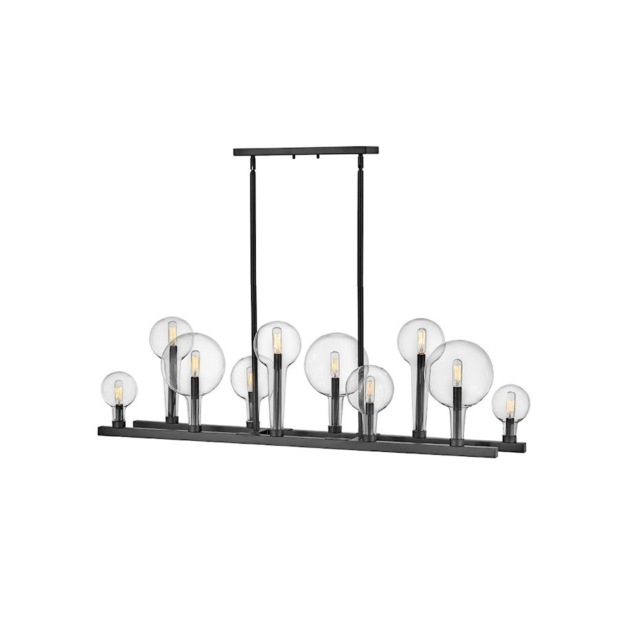 Hinkley Lighting Alchemy 10 Light Interior Hanging in Black - 30528BK