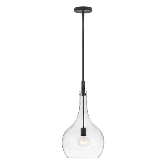 Hinkley Lighting Ziggy 1 Light Medium Pendant, Black/Clear glass - 4457BK-CL