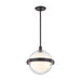 Hudson Valley Northport 1 Light 14" Pendant, Old Bronze/Clear Glass - 6514-OB