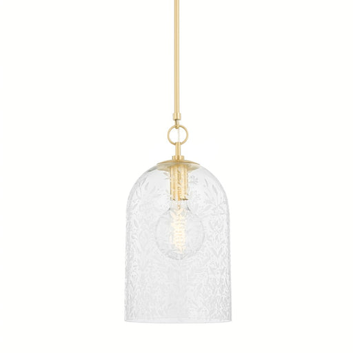 Hudson Valley Belleville 1 Light 19" Pendant in Aged Brass/Clear - 7510-AGB