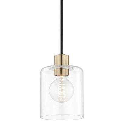 1 Light Pendant