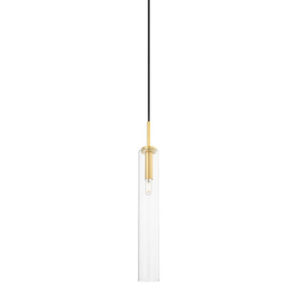 1 Light Pendant