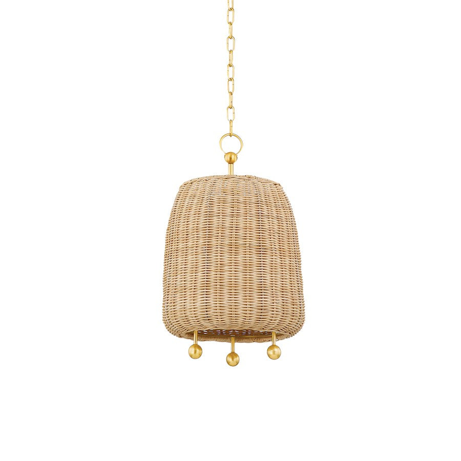 Mitzi Elena 1 Light 20" Pendant, Aged Brass - H802701S-AGB