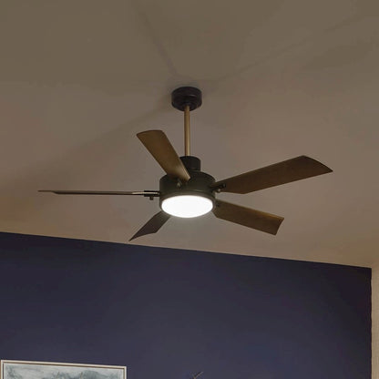 Kichler Guardian 56" Fan