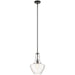 Kichler Everly 15.25" 1 Light Bell Pendant, Clear Glass Black - 42141BK