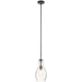 Kichler Everly 13.75" 1 Light Hour Glass Pendant, Clear Black - 42456BK