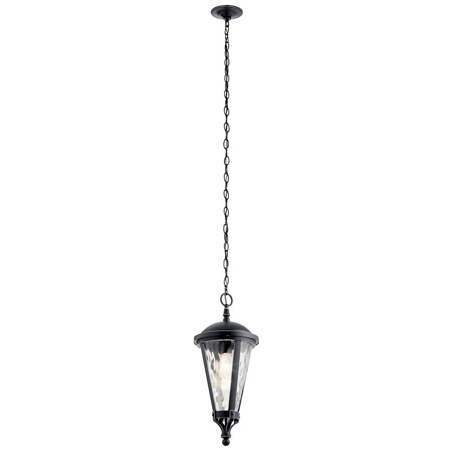 1 Light Outdoor Pendant, Black