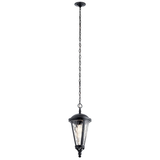 1 Light Outdoor Pendant, Black