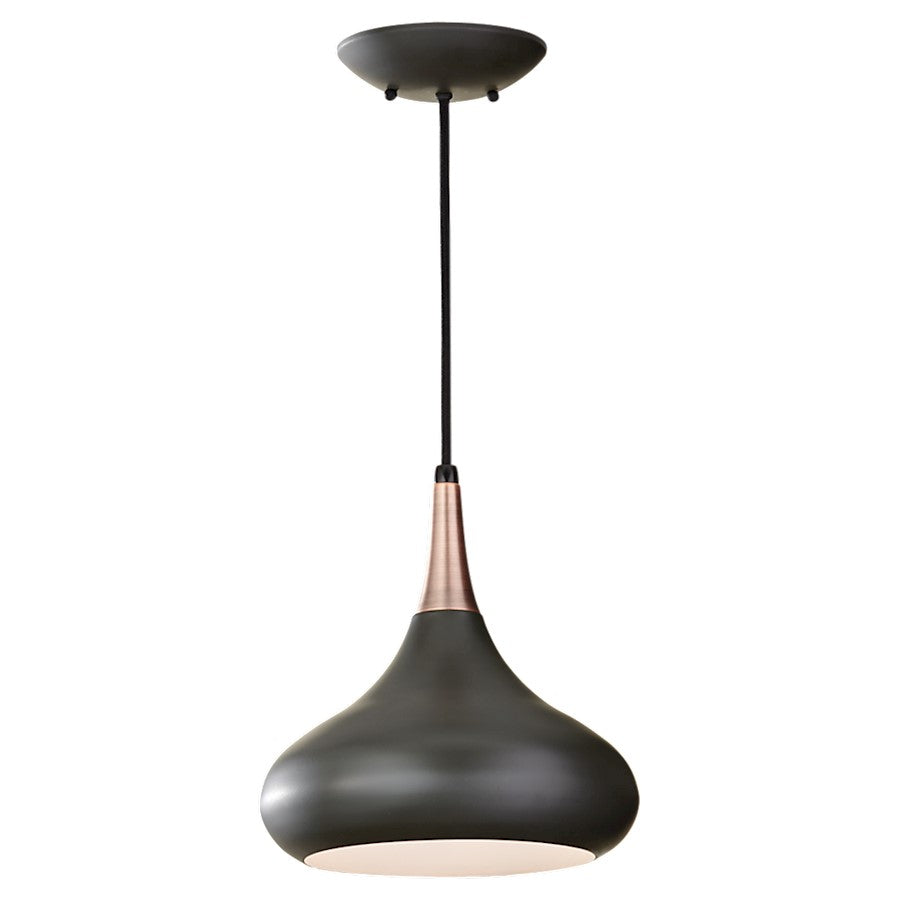 1 Light Pendant, Polished Nickel