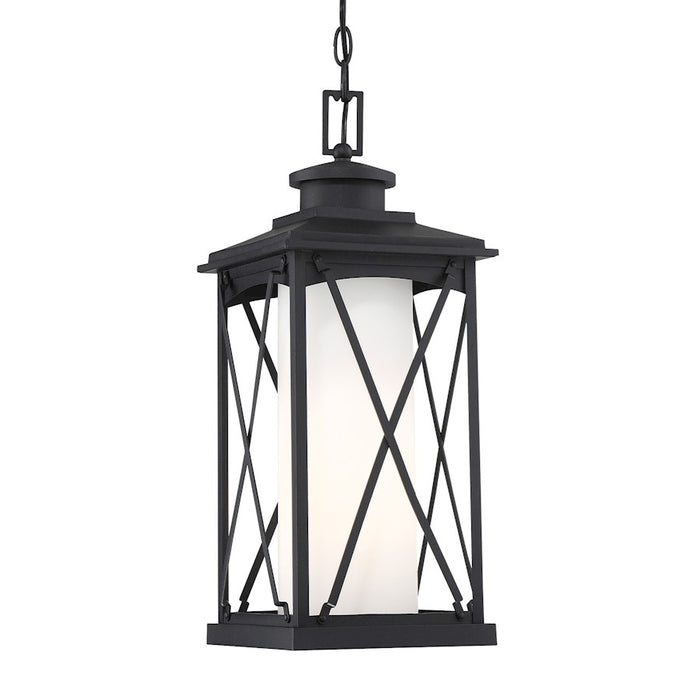 Minka Lavery Lansdale 1 Light Outdoor Chain Hung, Black