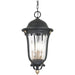 Great Outdoors Peale Street 4 Light Chain Hung, Coal/Gold/Ribbed - 73237-738