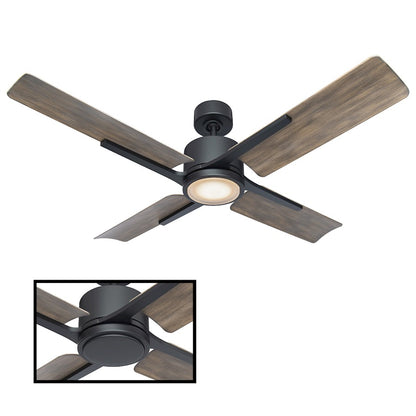 Modern Forms Cervantes 1 Light 2700K, Ceiling Fan, Black