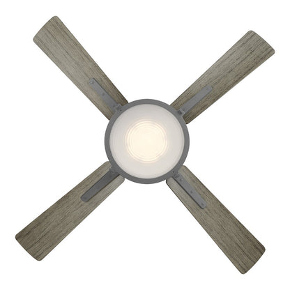 Modern Forms Nautilus 1 Light, Ceiling Fan