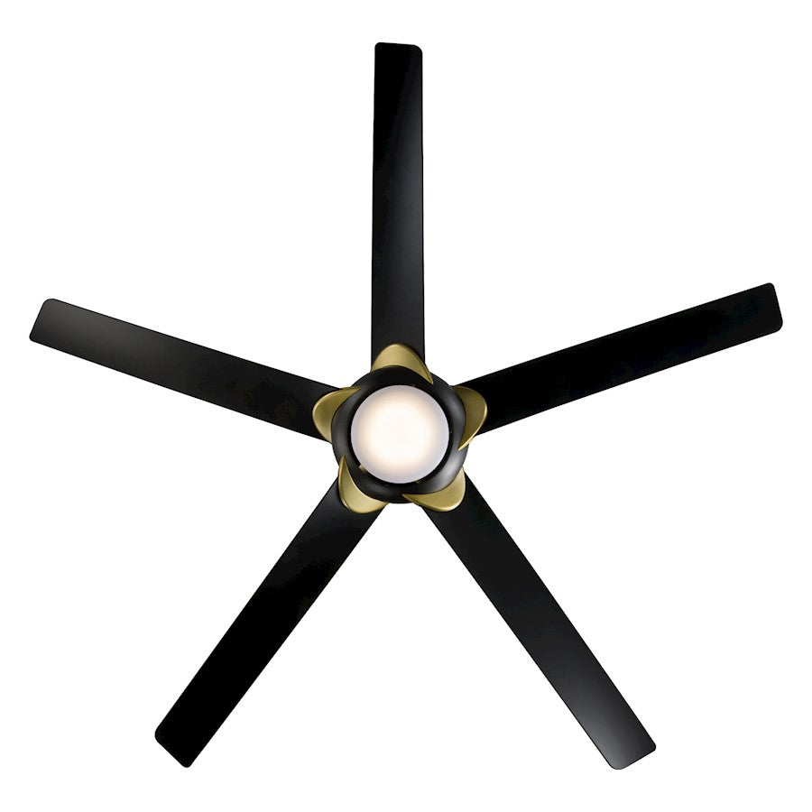 Modern Forms Lucid 5 Blade Ceiling Fan