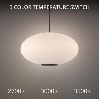 LED Pendant